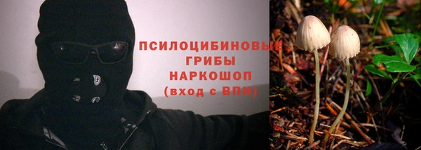 гашиш Ельня