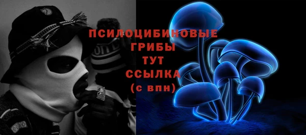 ПСИЛОЦИБИНОВЫЕ ГРИБЫ Новокубанск