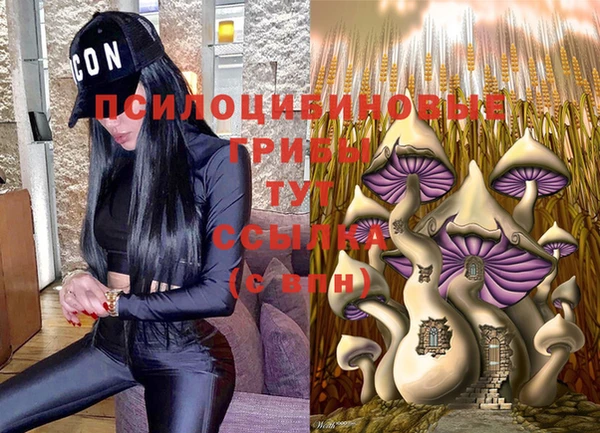 таблы Елабуга
