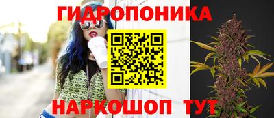 кокс Камышлов