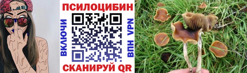 где можно купить   Мурино  Галлюциногенные грибы мухоморы 