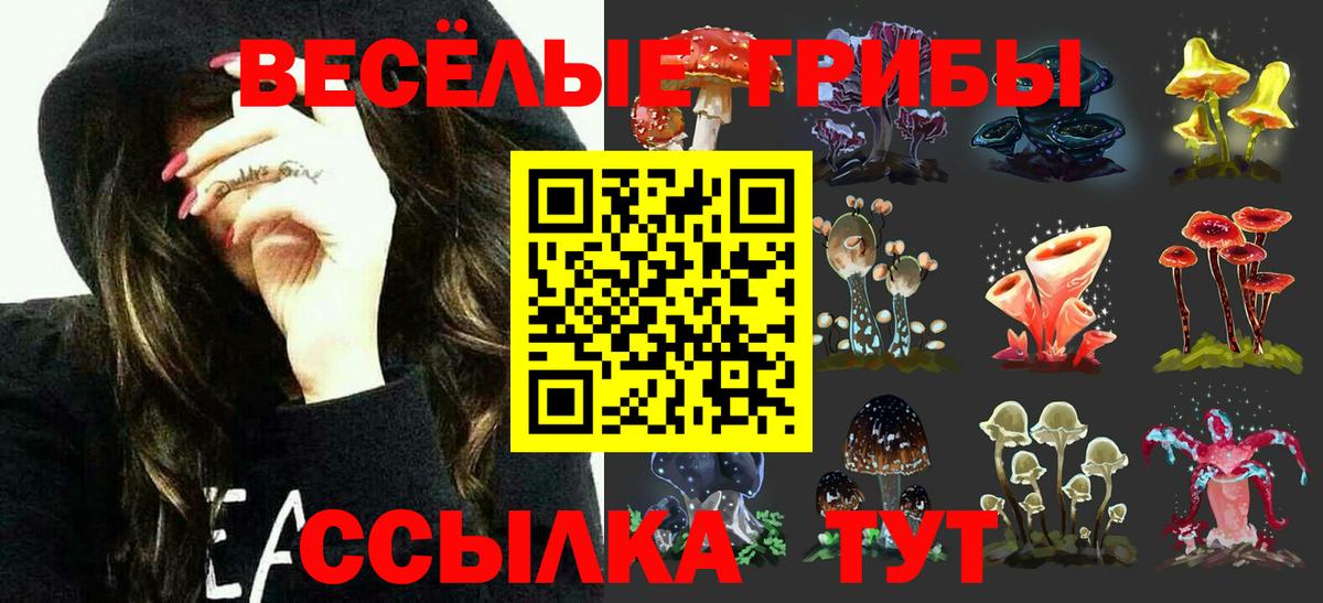 Галлюциногенные грибы MAGIC MUSHROOMS Мурино