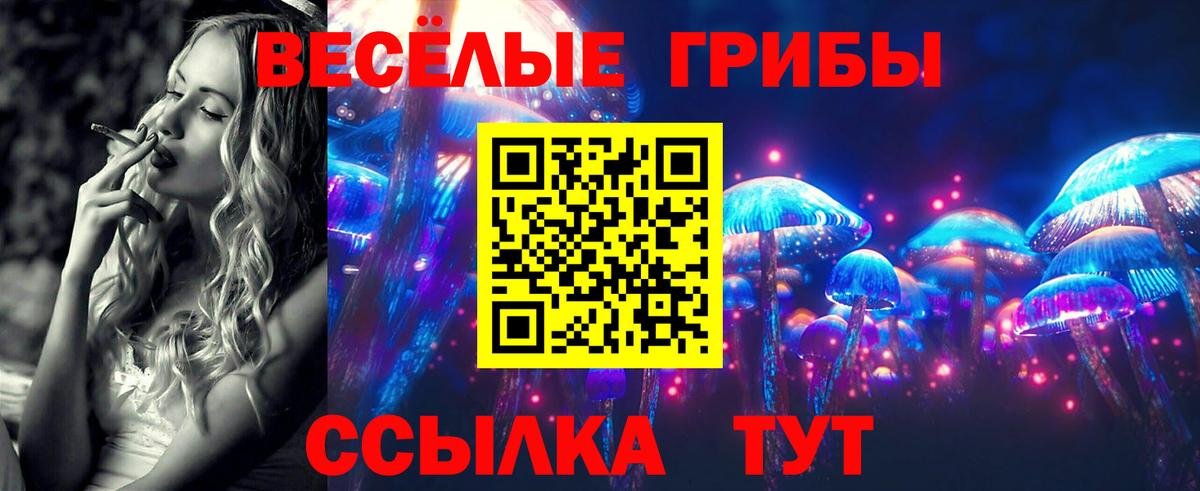 Галлюциногенные грибы Cubensis  Вход с VPN  Галлюциногенные грибы Cubensis  купить наркоту  Мурино 